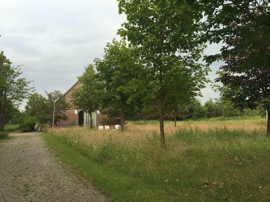 Entspannung In Der Schoenen Lueneburger Heide Gohrde Bagian luar foto