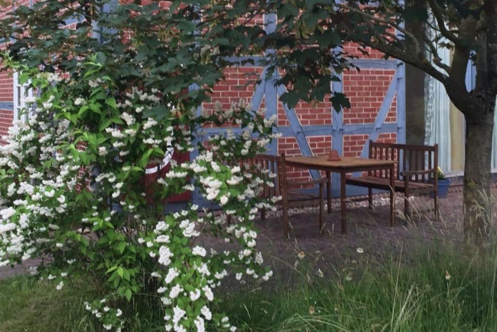 Entspannung In Der Schoenen Lueneburger Heide Gohrde Bagian luar foto